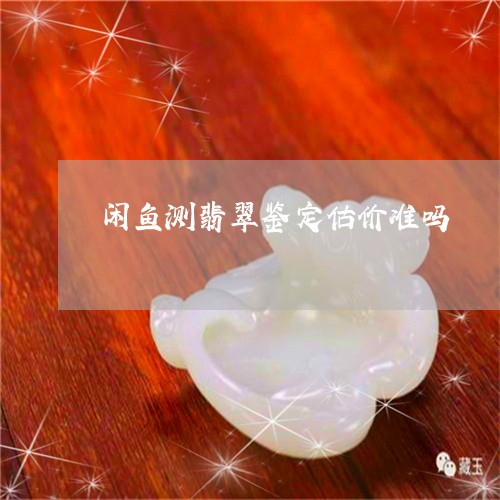 闲鱼测翡翠鉴定估价准吗/2023100711975