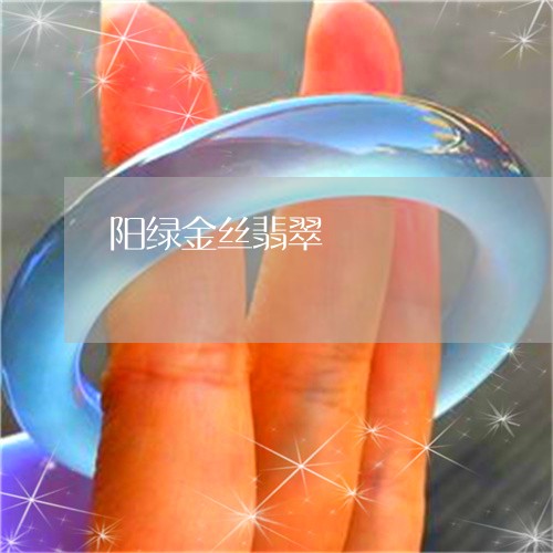 阳绿金丝翡翠/2023081268508