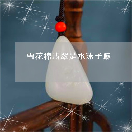 雪花棉翡翠是水沫子嘛/2023082547549