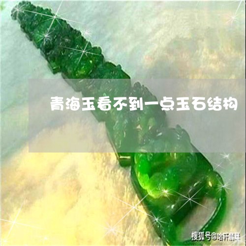 青海玉看不到一点玉石结构/2023101748022