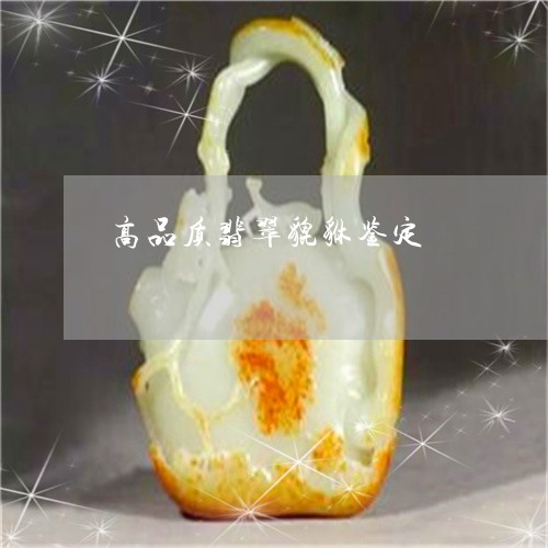 高品质翡翠貔貅鉴定/2023101907145