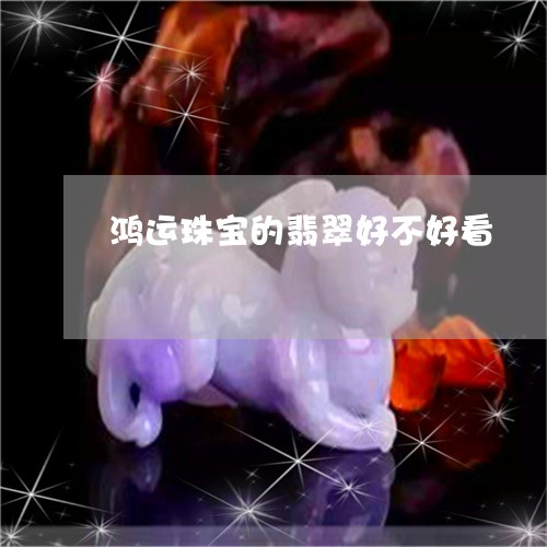 鸿运珠宝的翡翠好不好看/2023092841635