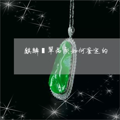 麒麟翡翠品质如何鉴定的/2023100861423