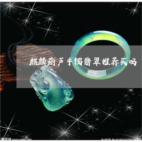 麒麟葫芦手镯翡翠推荐买吗/2023092895197