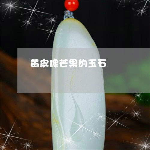 黄皮像芒果的玉石/2023103193499