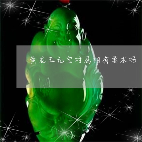 黄龙玉元宝对属相有要求吗/2023101628519