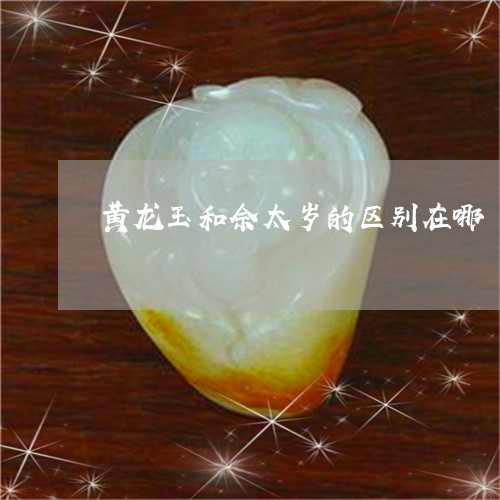 黄龙玉和佘太岁的区别在哪/2023101663704