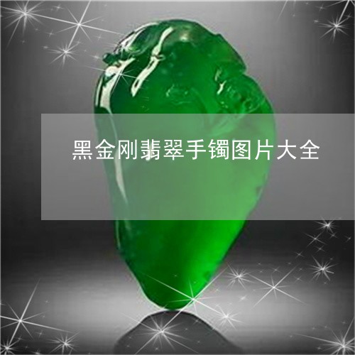 黑金刚翡翠手镯图片大全/2023102562851